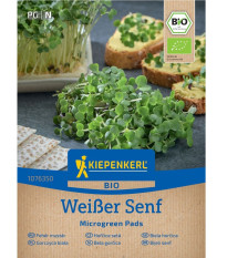 Mikrozelenina - microgreen - náhradní pláty bio hořčice - 3 ks