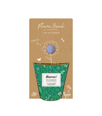 Pěstební set - Grow kit - nízko rostoucí květinová směs - Blossombs - 1 ks