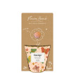 Set za gojenje – Grow kit – mešanica za metulje – Blossombs – 1 kos