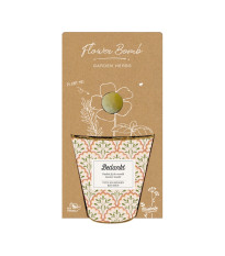 Dárkový set - Grow kit - směs pro pěstování bylinek - Blossombs - 1 ks