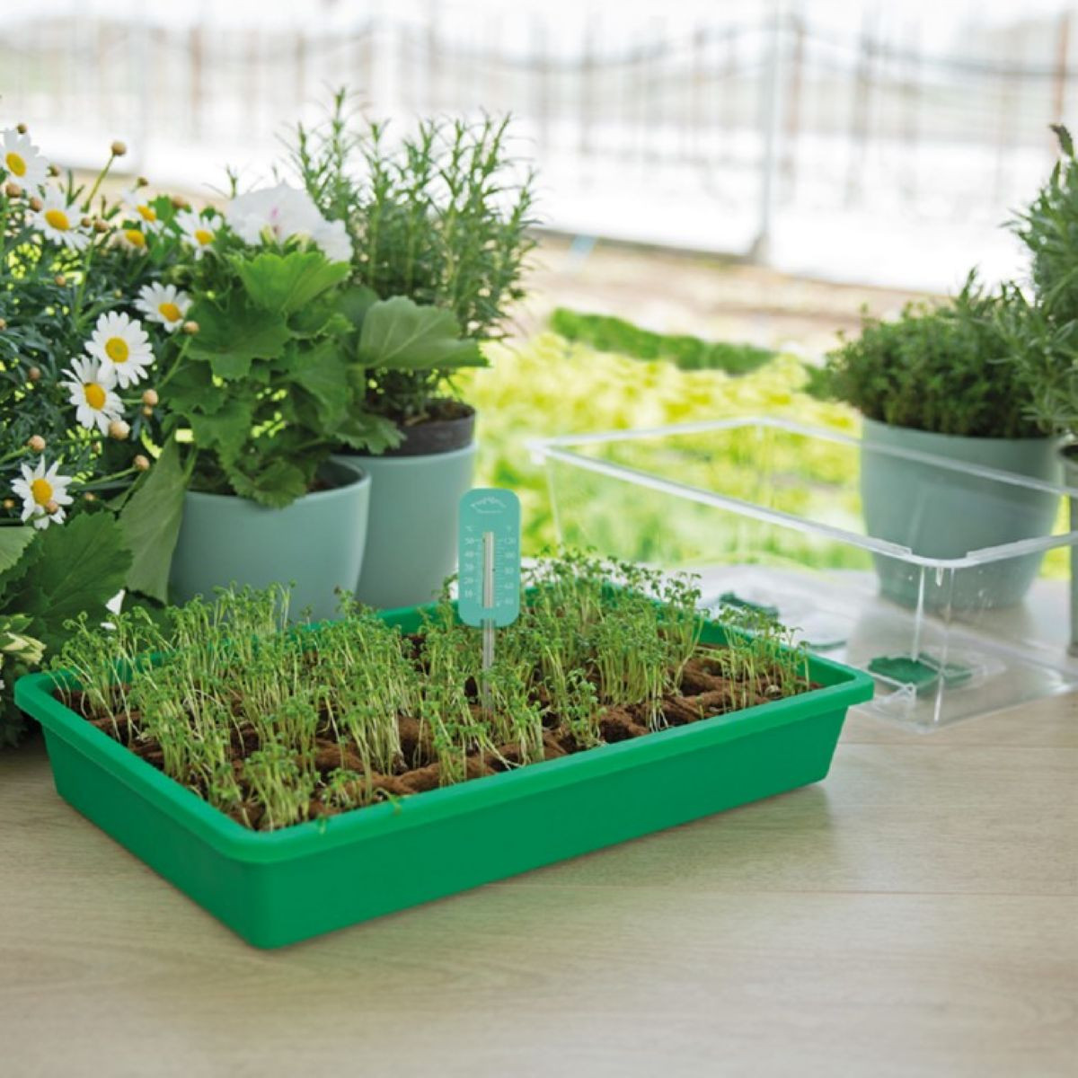 Teploměr do pařeniště - SOGO - 1 ks