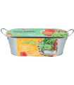 Buzzy – Okenska vrtna gredica Caprese solata – Pieterpik – 1 kos