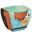 Buzzy Grow Gifts – Mini komplet za gojenje kamilice – Pieterpik – 1 kos