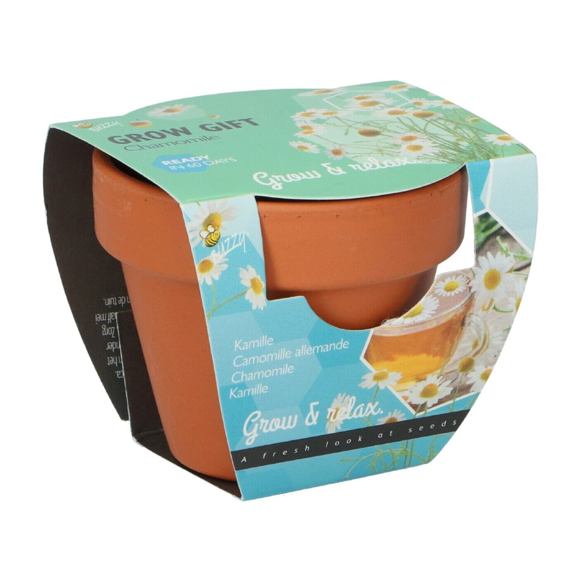 Buzzy Grow Gifts - Mini sada pro pěstování heřmánku - Pieterpik - 1 ks