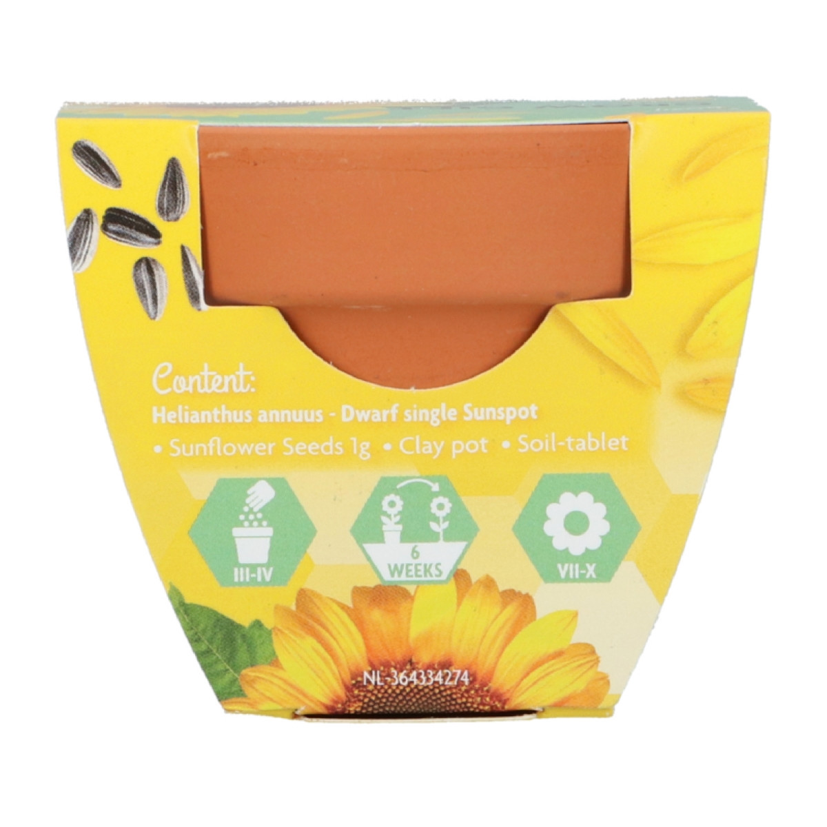 Buzzy Grow Gifts - Mini sada pro pěstování slunečnice - Pieterpik - 1 ks