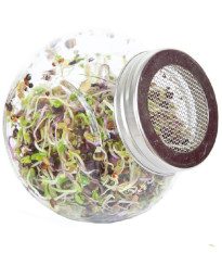 Buzzy - Bio klíčící sklenice Pikantní mix - Pieterpik - 1 ks