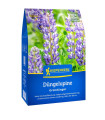 Zeleno gnojenje – ozkolistna lupina – semena – 800 g