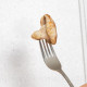 Mini Champ - komplet za domačo gojenje sive ostrigarice - Pleurotus ostreatus - 1 kos