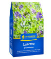 Zeleno gnojenje – lucerna – semena – 400 g