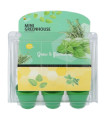 Buzzy – mini rastlinjak za gojenje kuhinjskih zelišč – Pieterpik – 1 kos