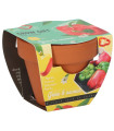 Buzzy Grow Gifts - Mini komplet za gojenje paprike - Pieterpik - 1 kos