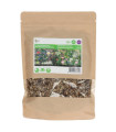 Mešanica cvetja za poljski šopek – Field Bouquet – Pieterpik – 250 g