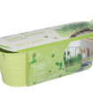 Buzzy - Mini vrt Chutni grah - Pieterpik - 1 kos