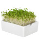 BIO microgreen Brokolice - Heimgart - náhradní pláty - 1 ks