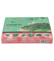 Buzzy - Startovací sada kuchyňské bylinky - Pieterpik - 1 ks