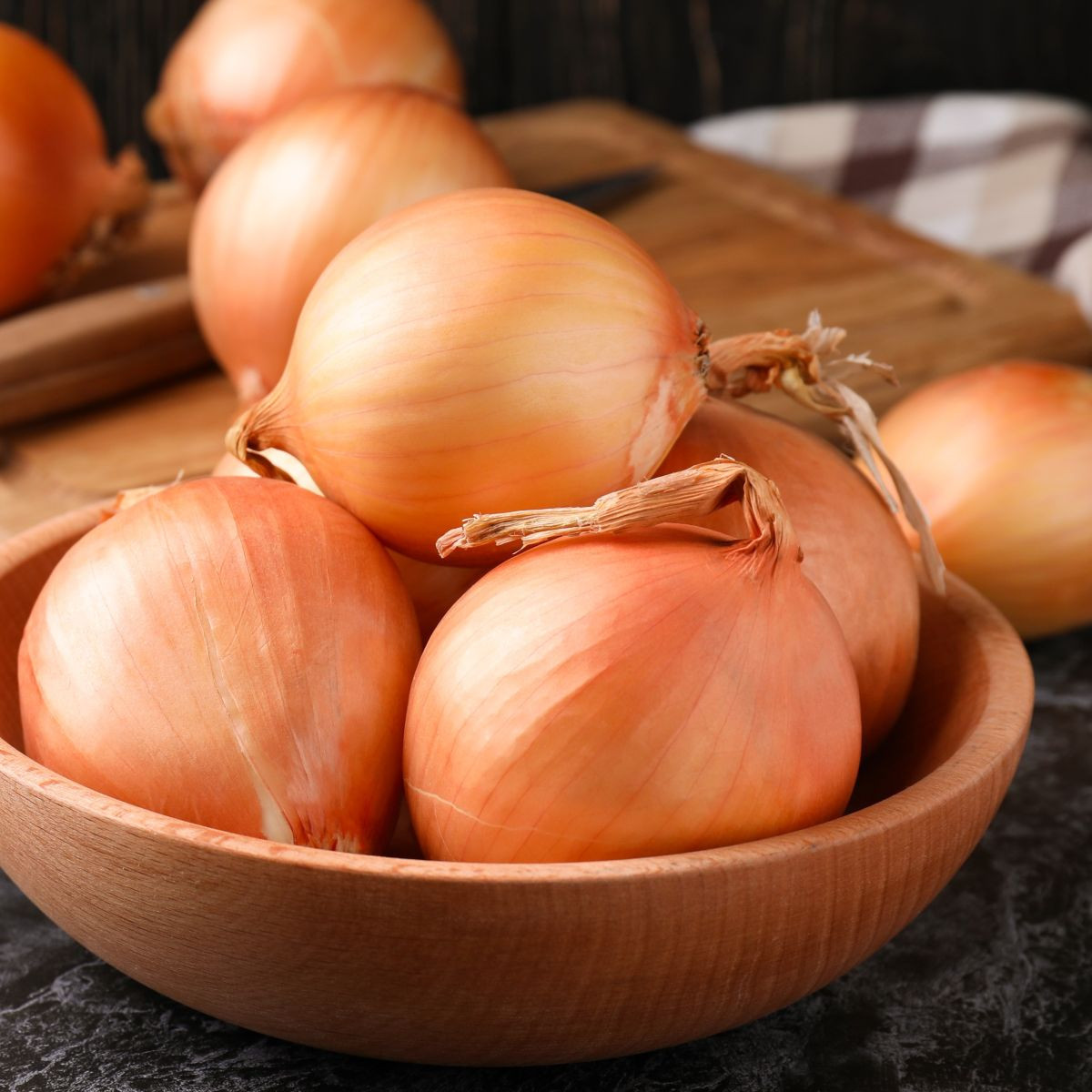 Cibule ozimá Augusta - Allium cepa - semena cibule - 250 ks