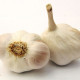 Sadilni česen Japo II – Allium sativum – mehki česen – čebulice česna – 1 pakiranje