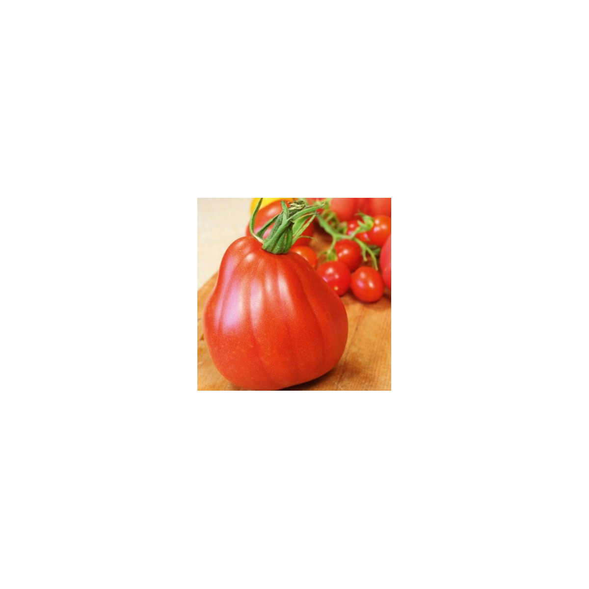 Rajče Coure di Bue - Solanum lycopersicum - semena rajčete - 10 ks