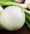 Bela spomladanska čebula - Allium cepa - semena - 250 kos