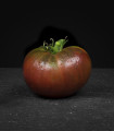 Paradižnik Črni moški - Solanum lycopersicum - semena paradižnika - 6 kosov - zaključeno