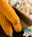 Pokovka koruzna Nana - Zea mays - semena koruze - 15 kos
