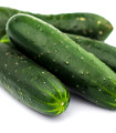 Solatna kumara Delikates - Cucumis sativus - semena kumare - 20 kos