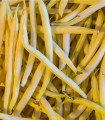 Fižol Orinoco - Phaseolus vulgaris - semena - 20 kos