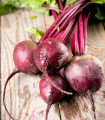 BIO Rdeča pesa Detroit 2 - Beta vulgaris var. vulgaris - bio semena pese - 50 kos