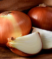 Čebula ozimna Hiberna - Allium cepa - semena čebule - 250 kos