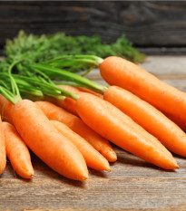 BIO Mrkev velmi raná Rothild - Daucus carota - bio semena mrkve - 0,5 g