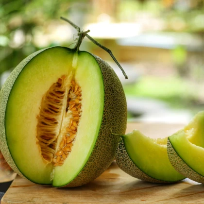 Meloun Galia Exelor F1 - Cucumis melo - semena melounu - 5 ks