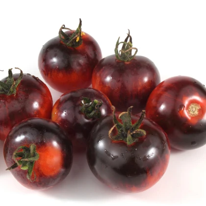 BIO Rajče Black Zebra - Solanum lycopersicum - bio semena rajčete - 7 ks