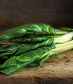 BIO blitva Lucullus - Beta vulgaris - bio semena blitve - 45 kosov