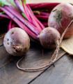 BIO Rdeča pesa Chioggia - Beta vulgaris - bio semena pese - 40 kos