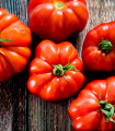 BIO Paradižnik Marmande - Solanum lycopersicum - bio semena paradižnika - 15 kosov