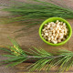 Borovice gerardiana - Pinus gerardiana - semena borovice - 5 ks