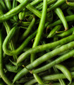 BIO Fižol Neckarkönigin - Phaseolus vulgaris - bio semena fižola - 15 kosov