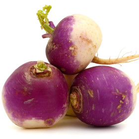 Repa