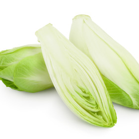 Radič