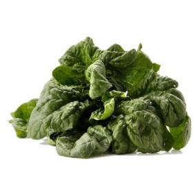 Špinača