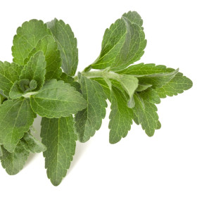 Stevia