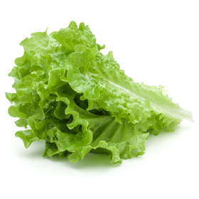 Solata