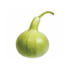Lagenarija
