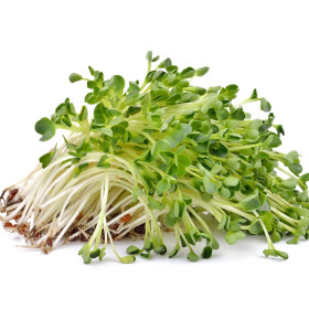 BIO kalčki