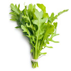 Rukola