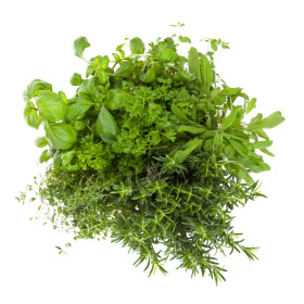 Druga aromatična začimba