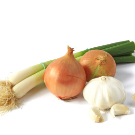 BIO čebulna zelenjava