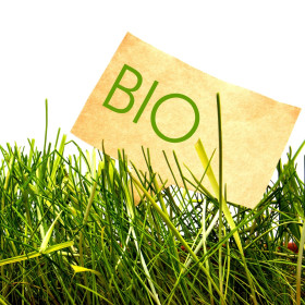 Izdelki v BIO kakovosti