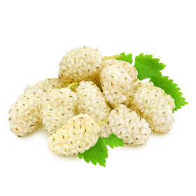 Murva