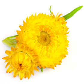 Smilje